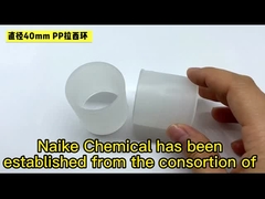 Rings de Raschig en PP pour le remplissage des tours PVDF Rings de Raschig en plastique pour le dépouillement des tours