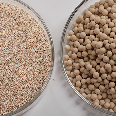 Cation Exchange Capacity Molecular Sieve Zeolite 900-1200 M2/g Surface Area Na2O 2-4%